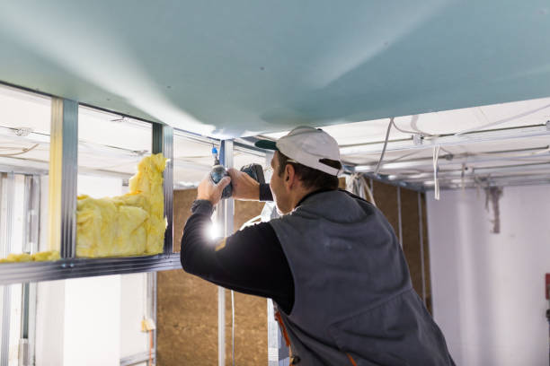 Best Insulation for Specific Applications in St Matthews, SC