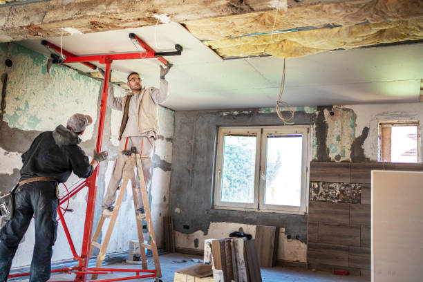Best Cellulose Insulation in St Matthews, SC