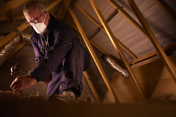Best Residential Insulation in St Matthews, SC